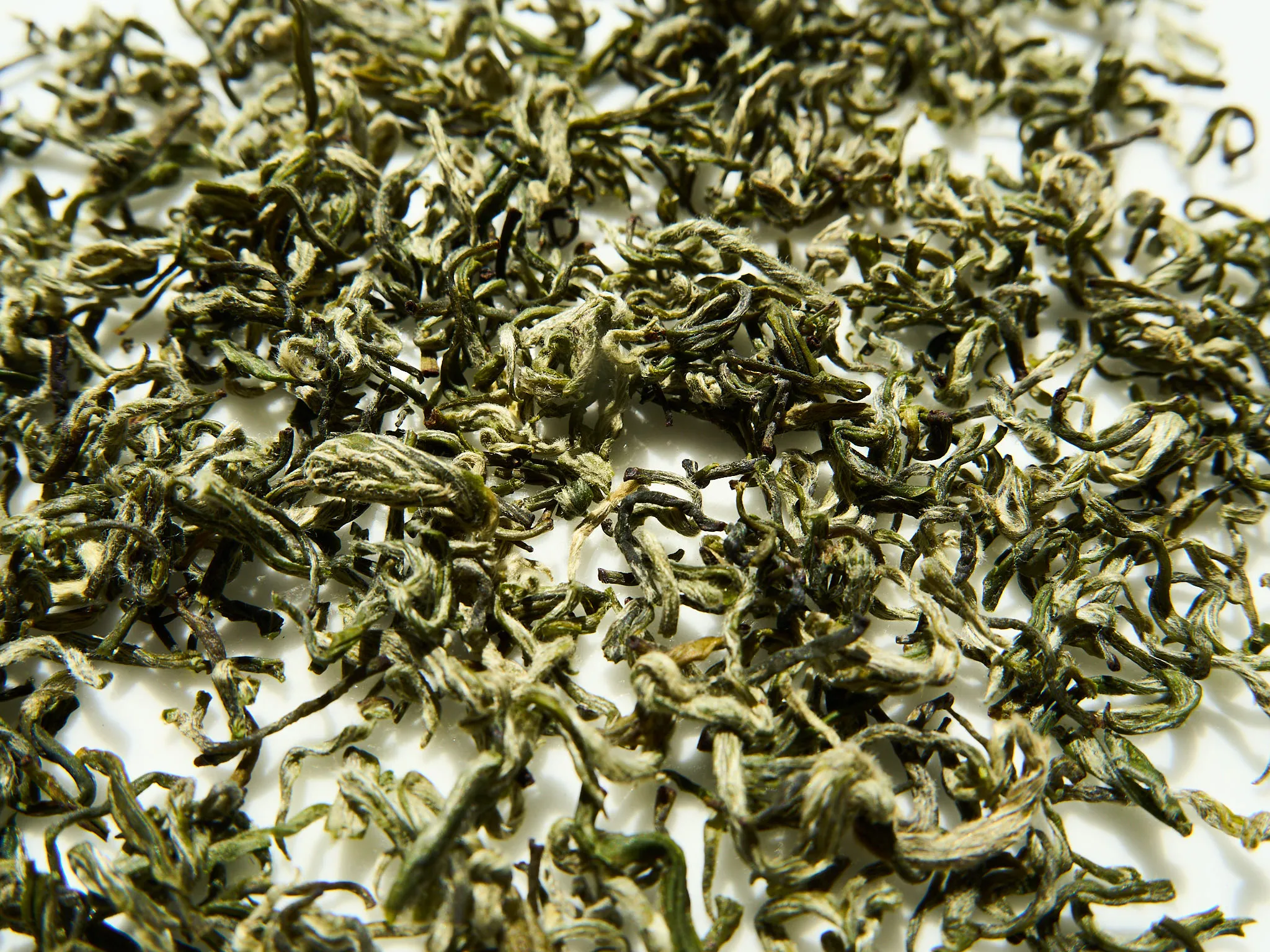 Fishhook Green (Duyun Maojian) — 2/4