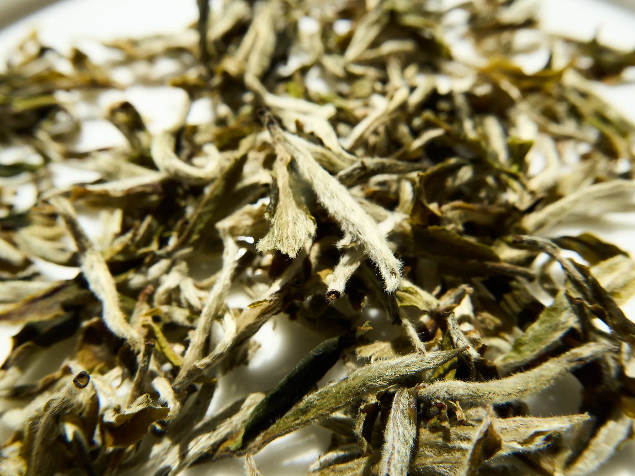 Silver Needle White — 2/4