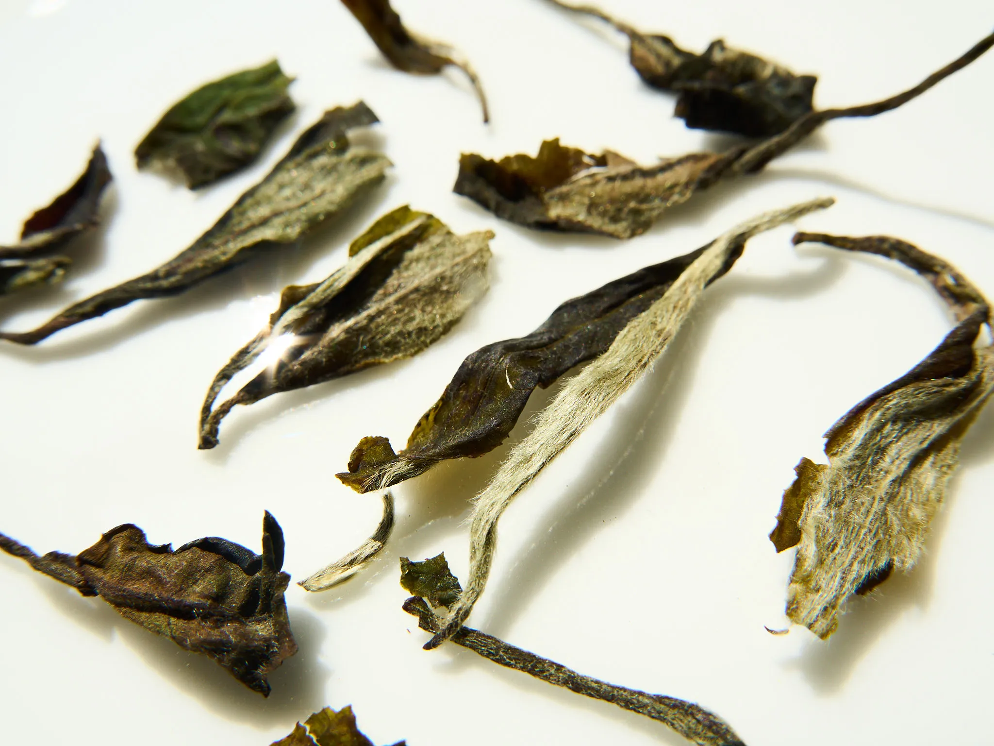 Daily White (Bai Mu Dan) — 4/6