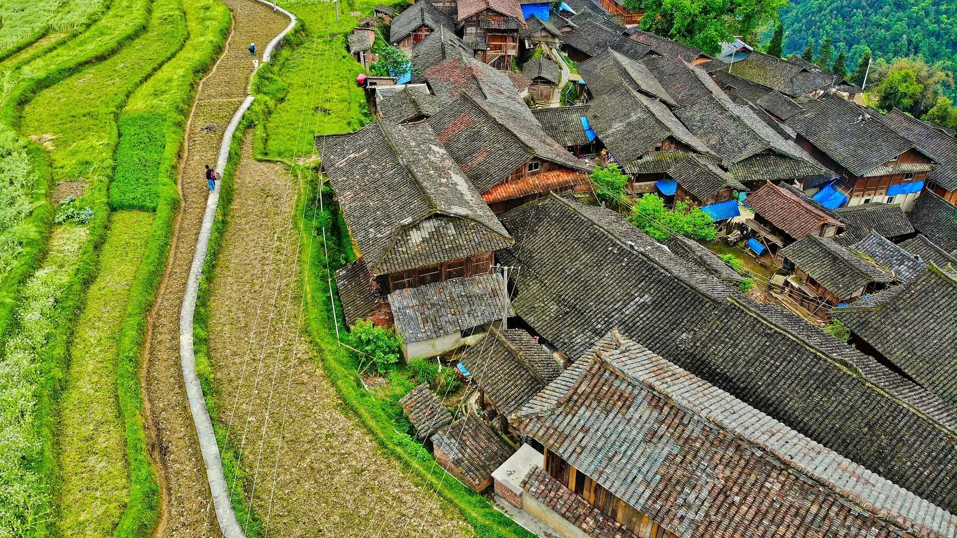 Ein Miao-Dorf zwischen Terrassenfeldern im Hochland von Guizhou
